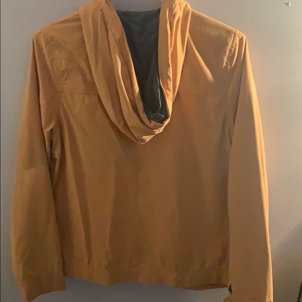 Yellow jacket - Picture 3 of 3